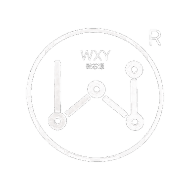 Logo WXY